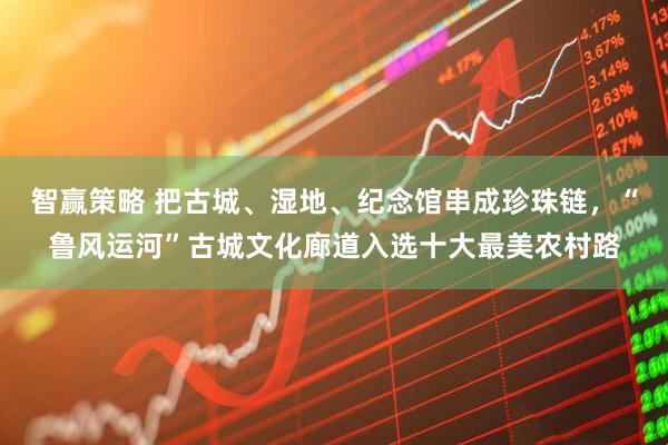 智赢策略 把古城、湿地、纪念馆串成珍珠链，“鲁风运河”古城文化廊道入选十大最美农村路