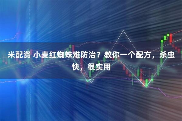 米配资 小麦红蜘蛛难防治？教你一个配方，杀虫快，很实用