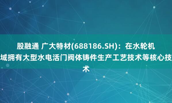 股融通 广大特材(688186.SH)：在水轮机领域拥有大型水电活门阀体铸件生产工艺技术等核心技术