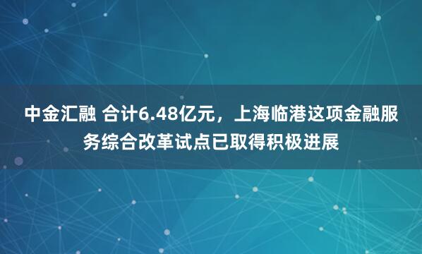中金汇融 合计6.48亿元，上海临港这项金融服务综合改革试点已取得积极进展