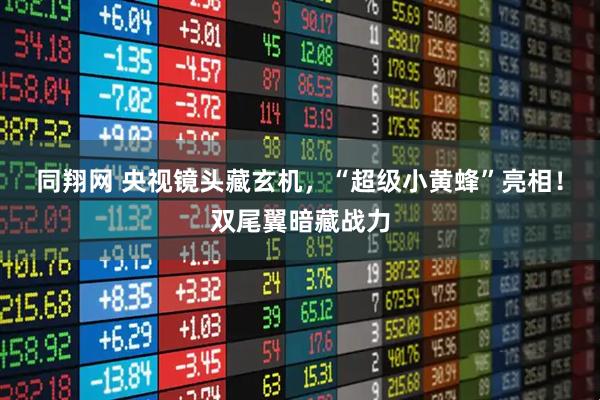 同翔网 央视镜头藏玄机，“超级小黄蜂”亮相！双尾翼暗藏战力