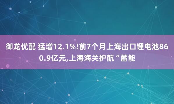 御龙优配 猛增12.1%!前7个月上海出口锂电池860.9亿元,上海海关护航“蓄能